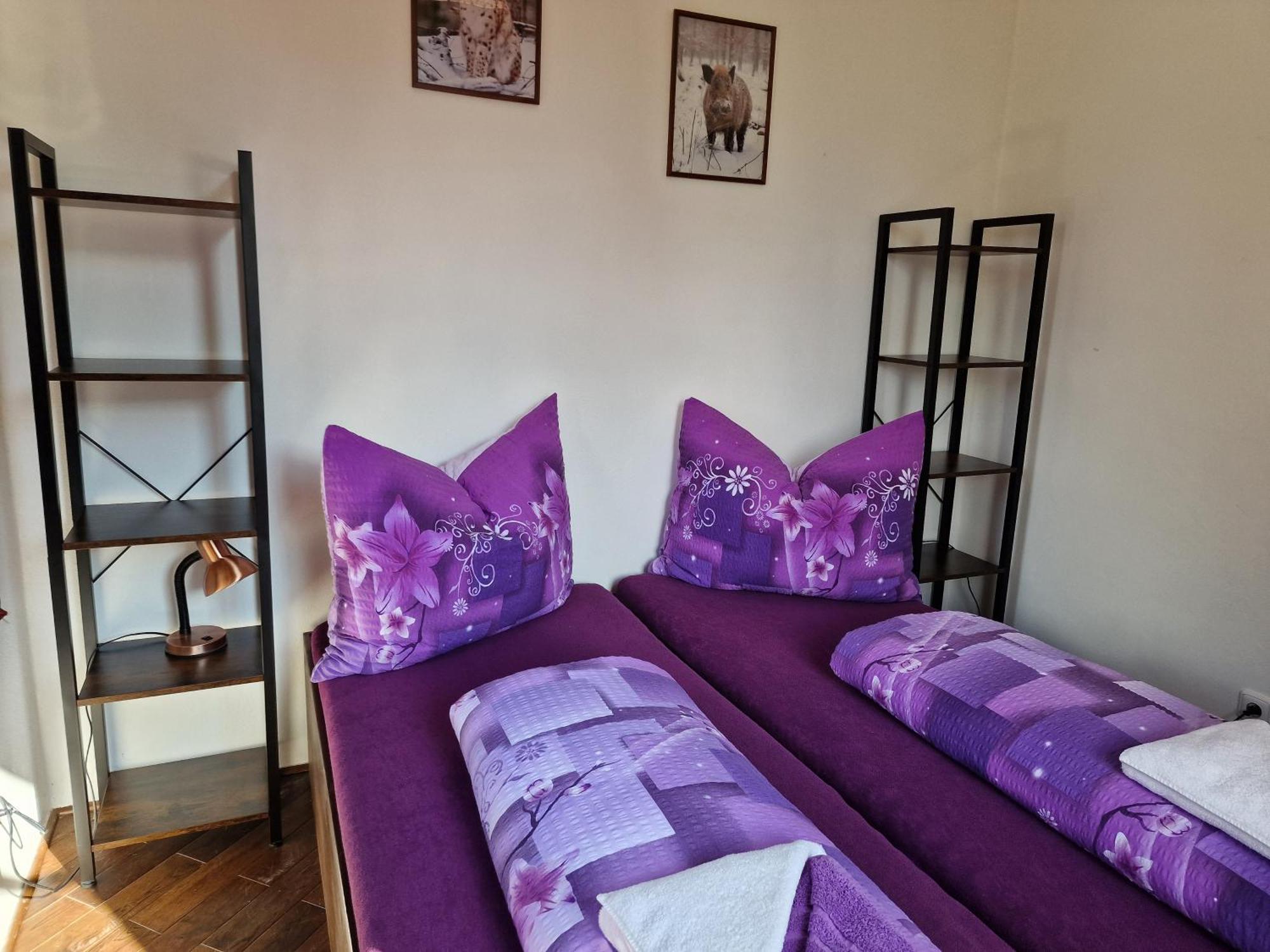Hotel Vlčí Jámy Lenora Exteriér fotografie