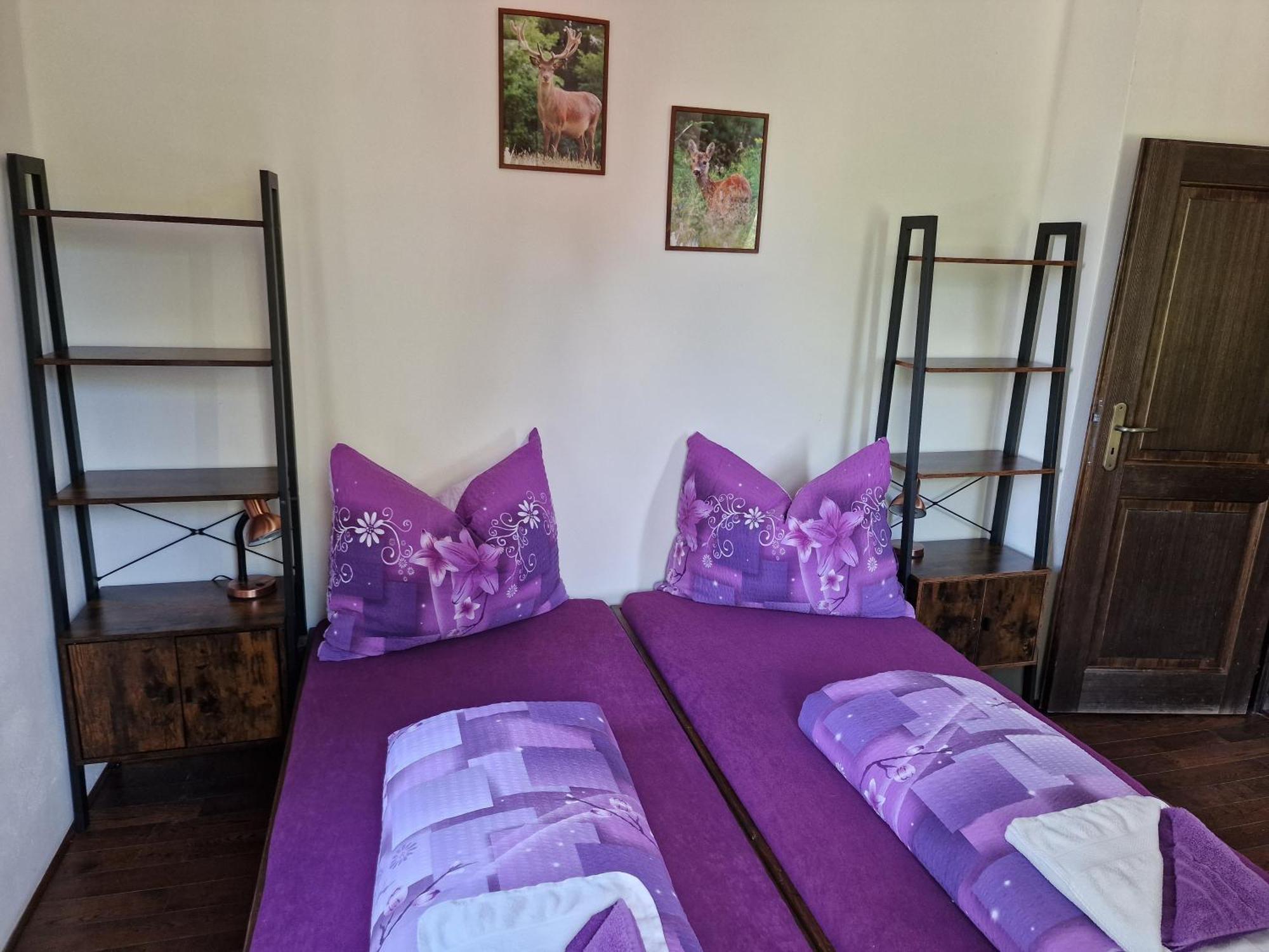 Hotel Vlčí Jámy Lenora Exteriér fotografie